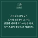 셰르파투어