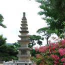 ㈜영안모자 이미지