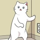 도너츠윤 이미지