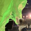 셀프넷 PC방 | 이게 바로 남미새의 품격