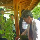 영농조합법인 대청 이미지