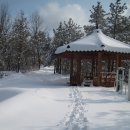 오랍드리 이미지