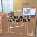 노엘동물병원 | 부천 동물병원 추천 / 노엘동물병원