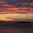 진도농장 이미지