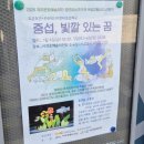 중섭, 빛깔 있는 꿈 이미지