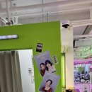 뽑고뽑고인형뽑기 이미지