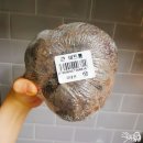 아기 이유식큐브 큐브만들기 야채종류별 큐브만드는법 야채큐브 밥솥이유식큐브