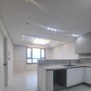 삼라마이다스 이미지