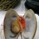 팔팔수산 이미지