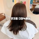 아참미용실 | 대전 관저동미용실 더아늑헤어 26년 트랜드컬러 올리브브라운 염색 후기