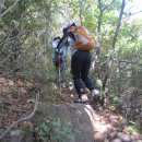 용암2리 이미지