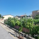 소로3-66 이미지