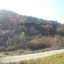 동일로+공인중개사사무소 이미지