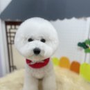 몽실묭실 이미지