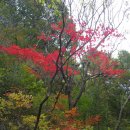 문경 주흘산 산행 및 사과축제 행사 이미지