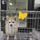 무전동사무소 앞 이미지