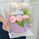 가행나무 이미지