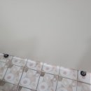 은광학교 이미지