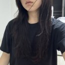 종숙농장 | 볼륨, 손상모, 머릿결 관리 [몽클로스] - 벨벳 볼륨 샴푸 500ml, 벨벳 너리싱 트리트먼트 200ml, 슈퍼...