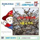 스마트해법수학 티스토리