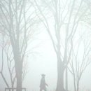 이화여인숙 - 천안시 동남구 문화로 32-6 | 이화여인숙