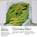 평창천년삼 이미지