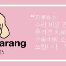 베네치아안경원 이미지