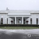 SNOW WING 이미지