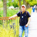 애로사항 &#39;수수료&#39; 똑똑한&#39;처제&#39; 디시(DC)됨..ㅋㅋ 이미지