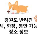 주식회사 패투헤븐 | 강원도 반려동물 장례, 화장, 봉안 가능한 장소 정보