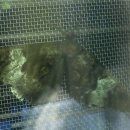 수토산방 이미지