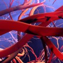 SM타이거짐 더크라운 이미지