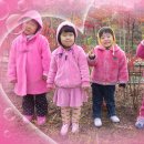 어린양어린이집 이미지