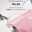 레드진생