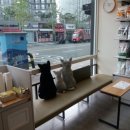 해비치동물병원 이미지