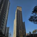 수완모아엘가아파트경로당 | 수완지구 은빛마을 모아엘가 신혼부부 케라폭시 줄눈시공 후기