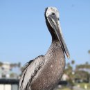 해변횟집 이미지