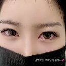 코코샵 이미지
