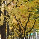 목동동로1길 이미지