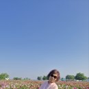 의령부분정비 이미지