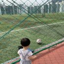 임호체육공원 이미지