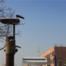 수기초등학교 이미지