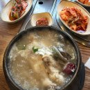 꼬끼오고 | 또간집 미가꼬끼요 내 돈 내산 삼계탕 양념치킨 후기