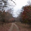 회귀-모정 이미지