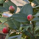 오어사 | 포항 오어사 아침 산책, 생각보다 더 오래 기억에 남았던 날