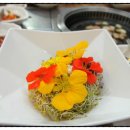 남연허브 이미지