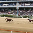 캡틴축산 이미지