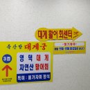 영덕대게물회전문 | 영덕 대게 맛집 축산항대게궁 박달대게 코스 솔직 후기 영덕대게 영덕맛집