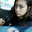 정다래 카카오 검색결과