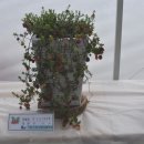 원남면주민자치센터 이미지